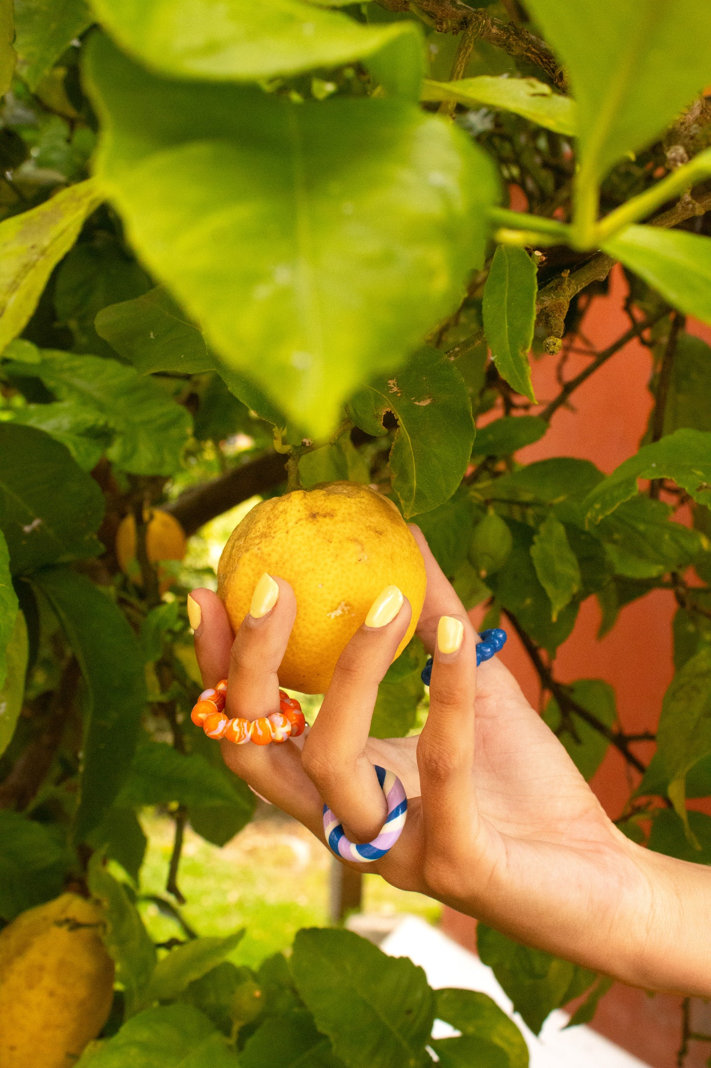 ANILLOS BURBUXAS