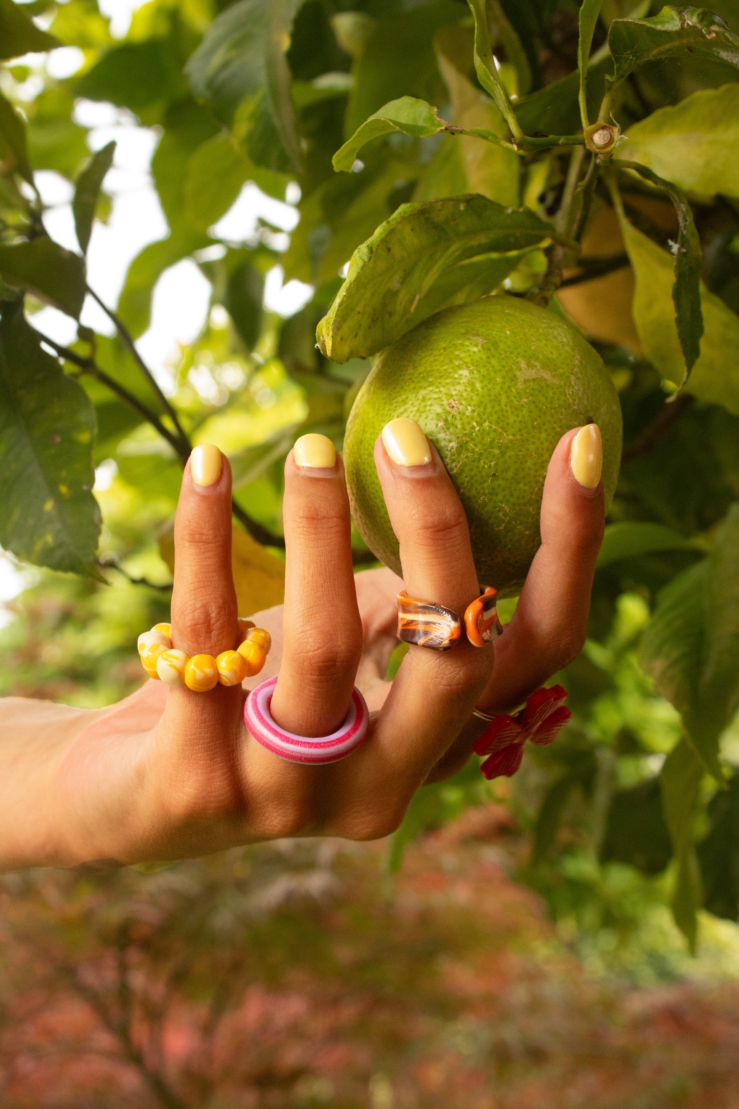 ANILLOS BURBUXAS